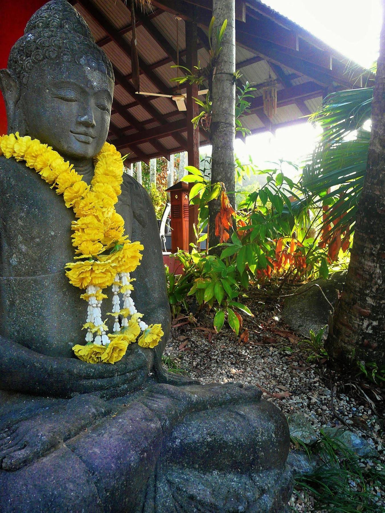 Mai Tai Resort Cassowary Exterior foto